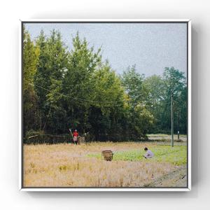 性一交一乱一A片熟女
